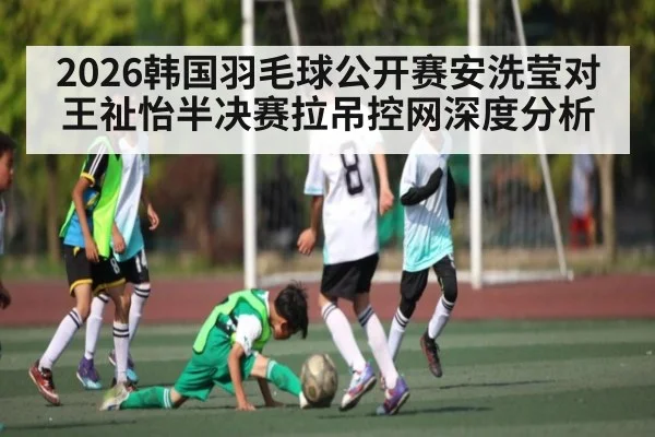 2026韩国羽毛球公开赛安洗莹对王祉怡半决赛拉吊控网深度分析